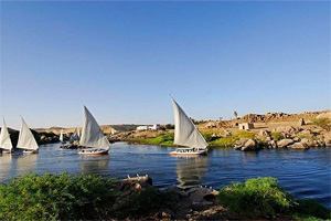 DÍA 08: ASWAN 